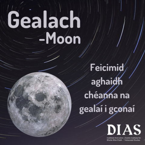 Feicimid aghaidh chéanna na gealaí i gconaí! - We always see the same side of the moon!